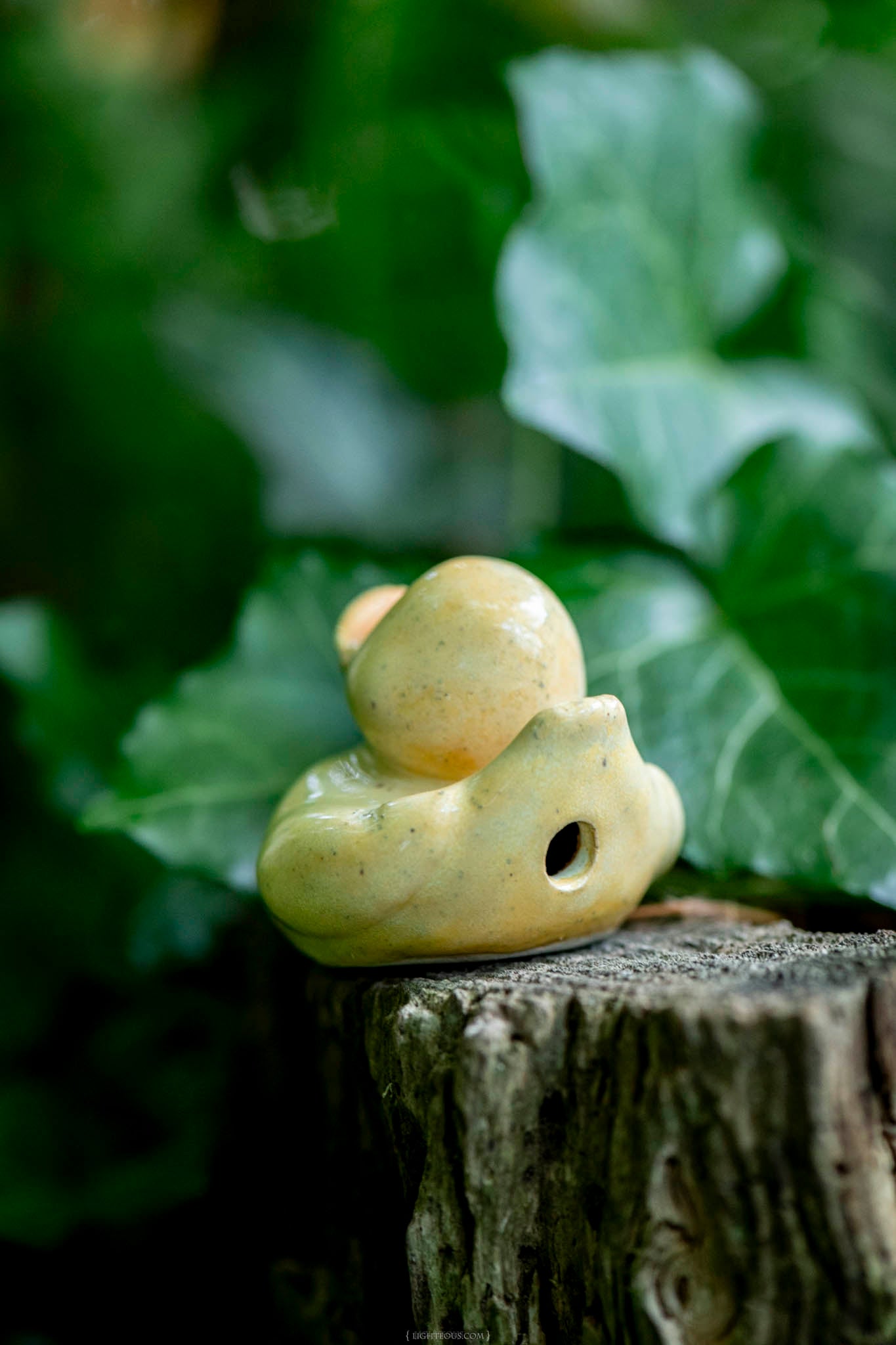 Yellow Duck (Henry)