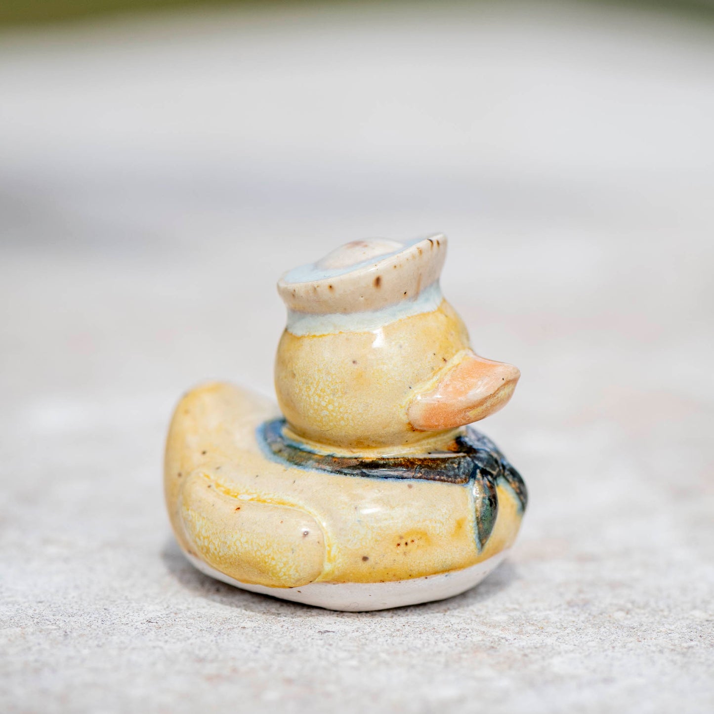 Sailor Duck