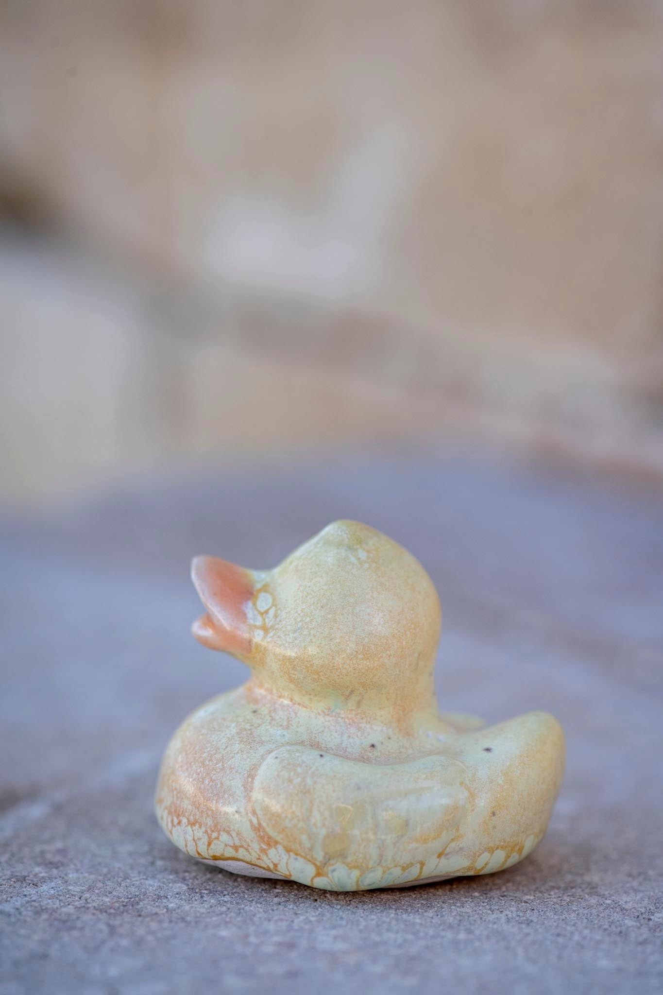 Yellow Duck (Harry)