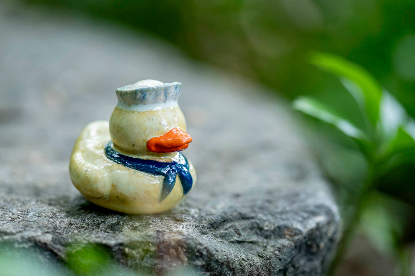 Sailor Duck Linus