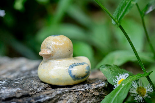 Yellow Duck with Blue highlights (Ruth)