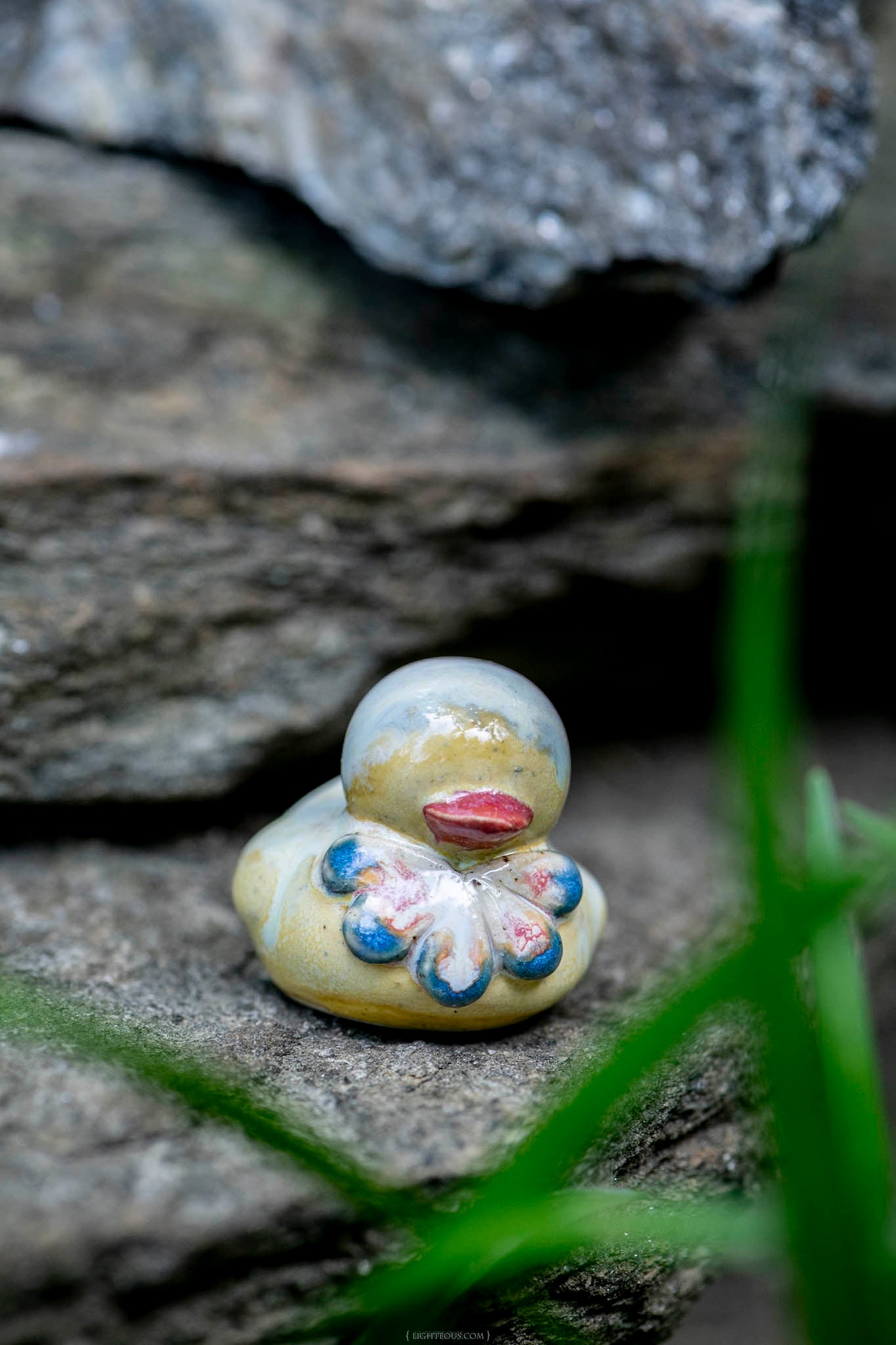Fancy Fred Duck