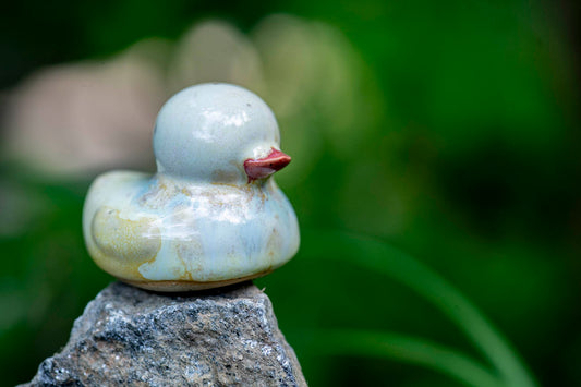 Light Blue Duck (Cindy)