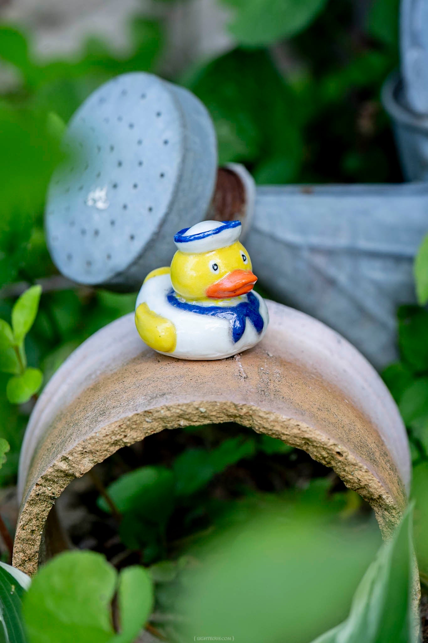 Sailor Duck Pete