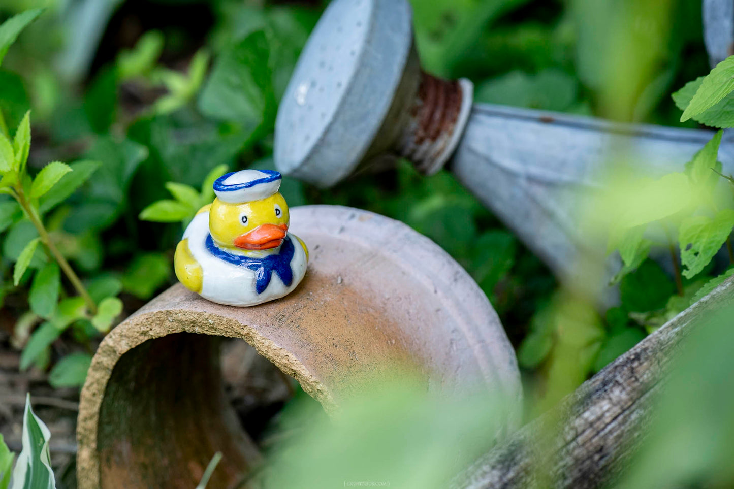 Sailor Duck Pete