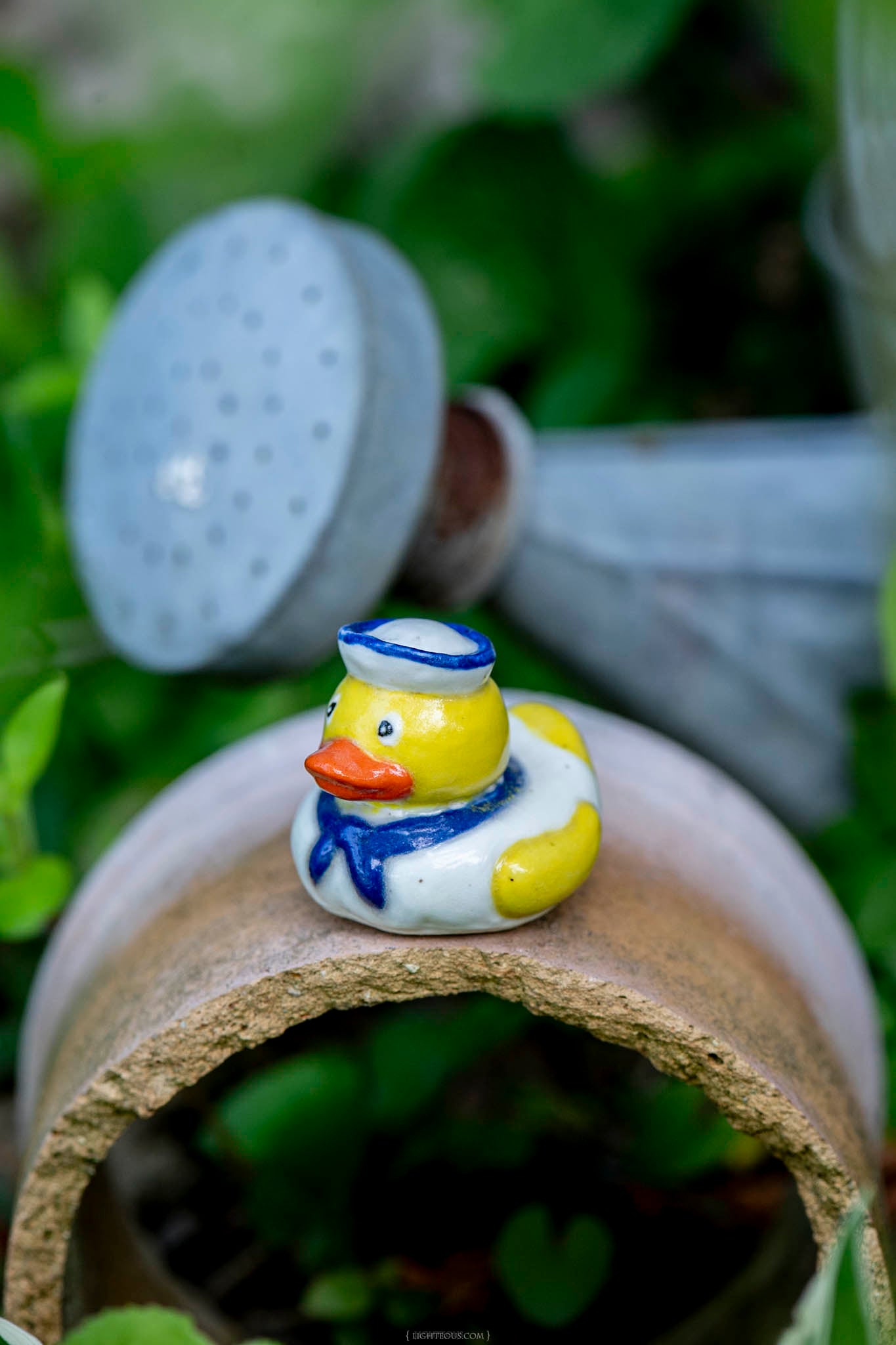 Sailor Duck Pete