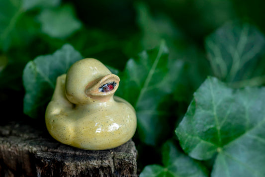 Yellow Duck (Henry)