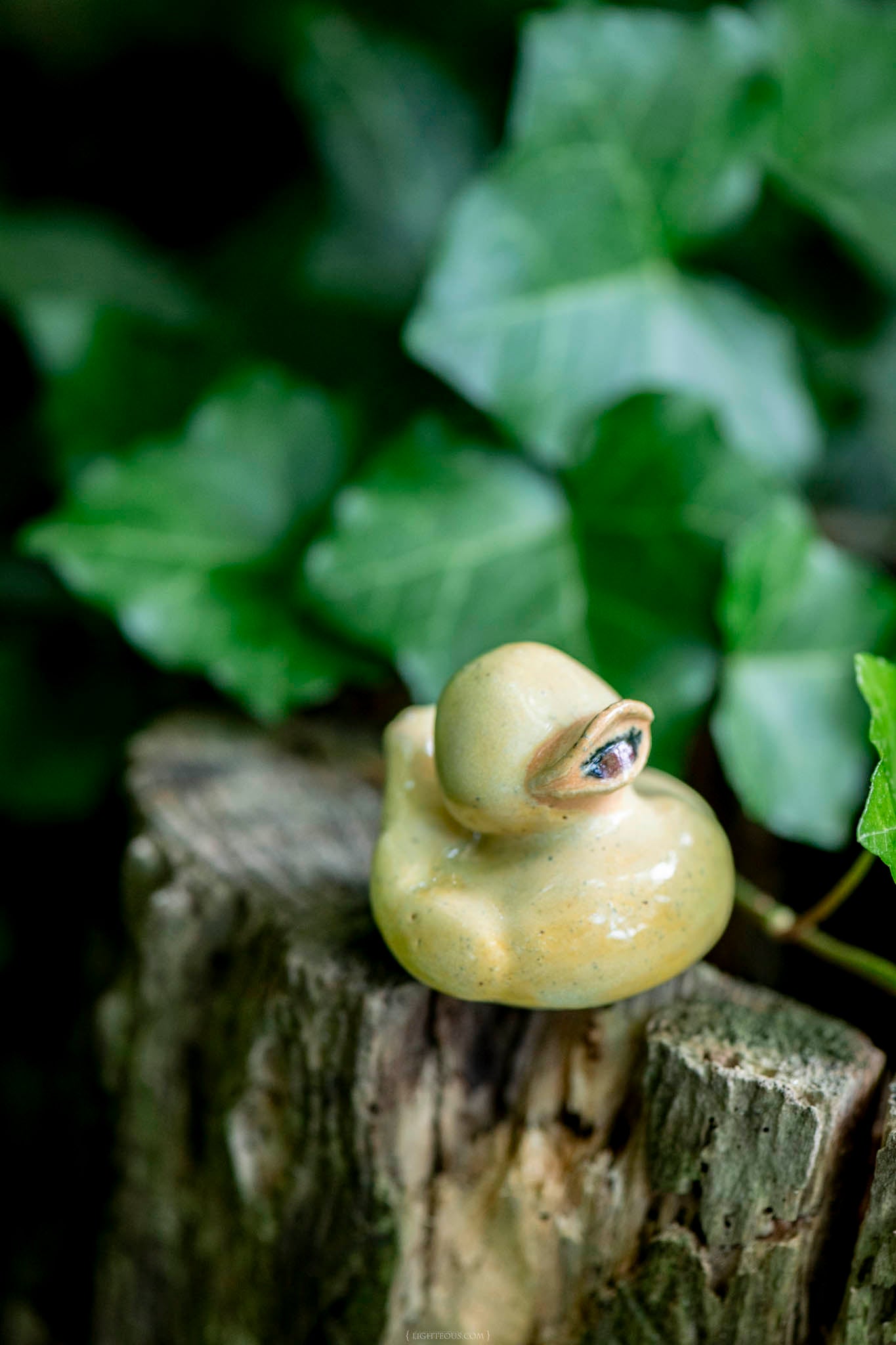 Yellow Duck (Henry)
