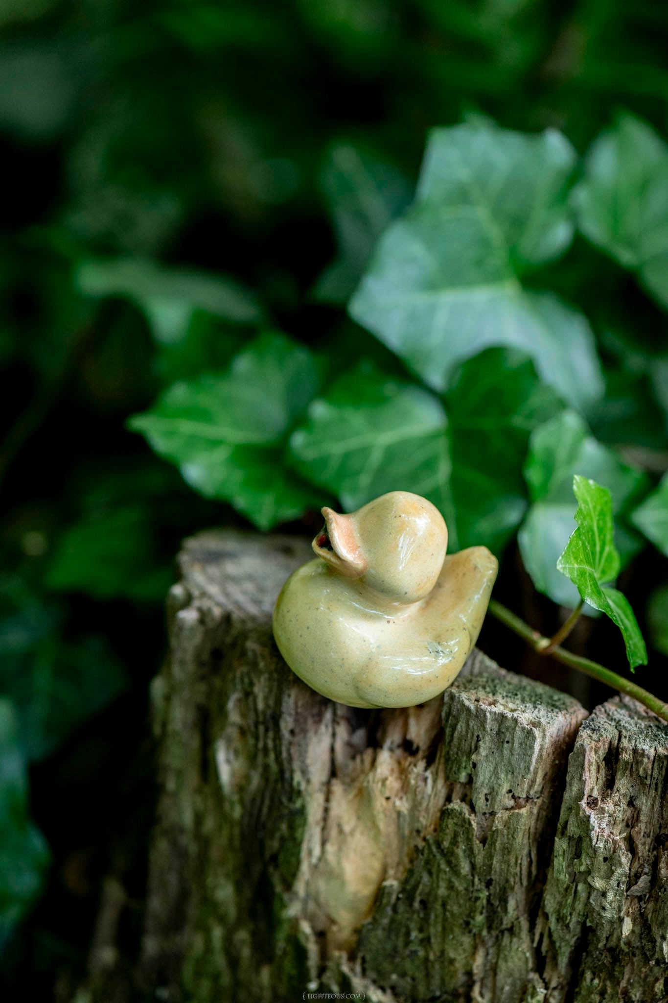 Yellow Duck (Henry)