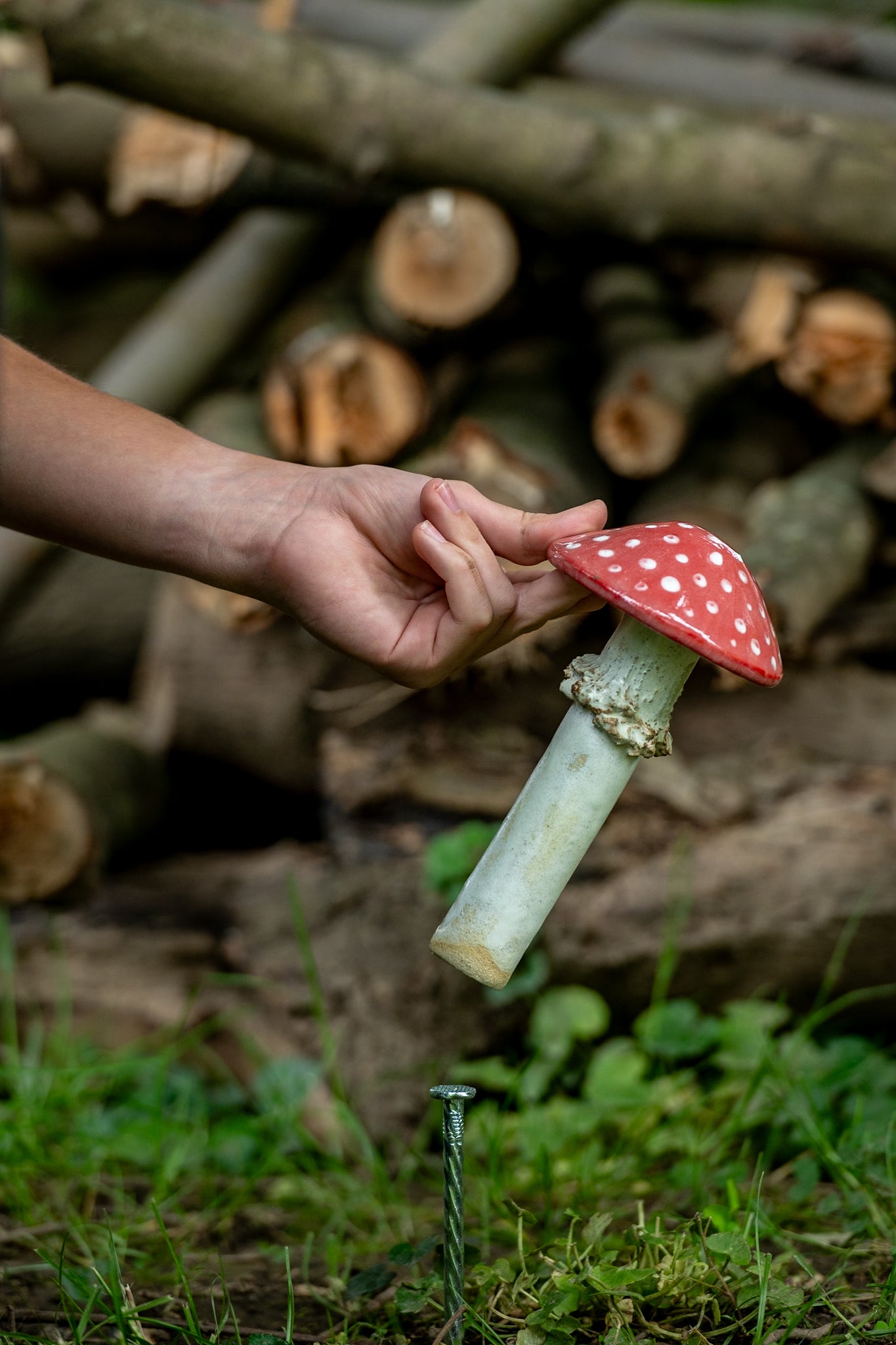 Red Ceramic Mushroom