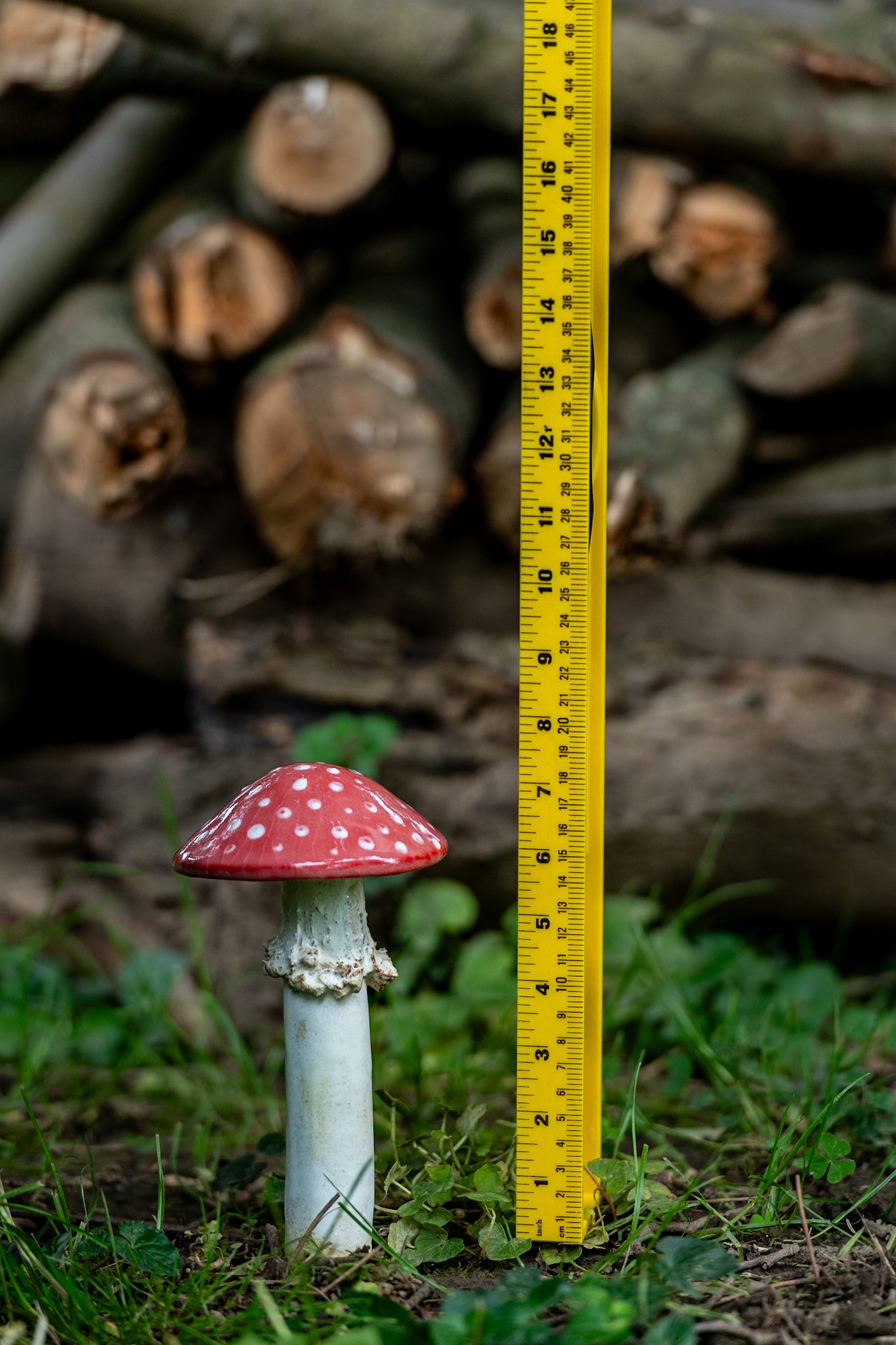 Red Ceramic Mushroom