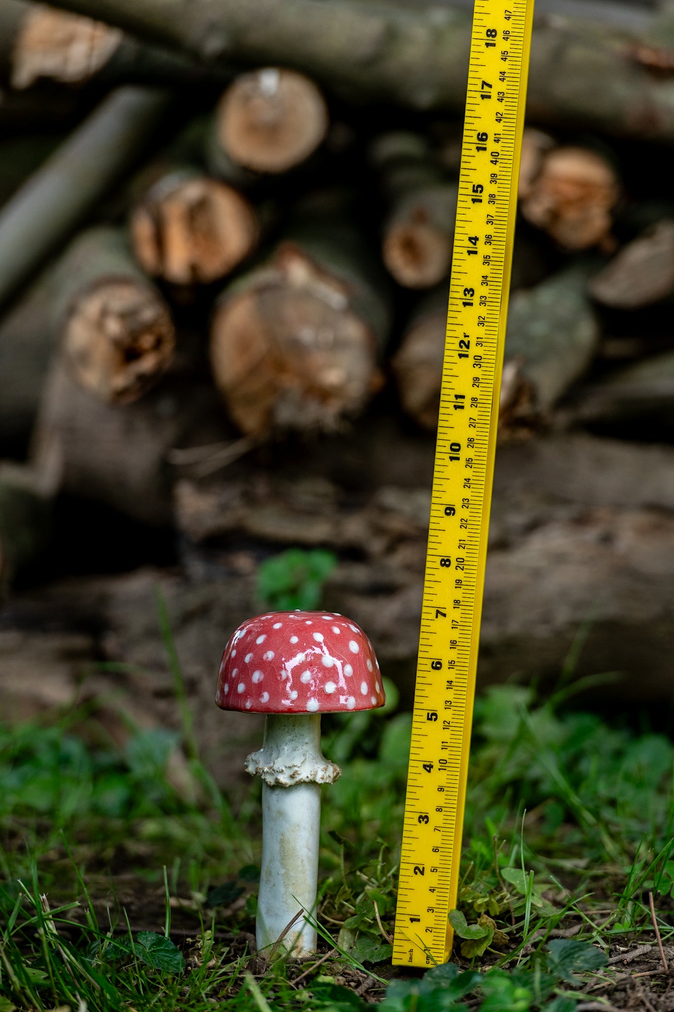 Red Ceramic Mushroom