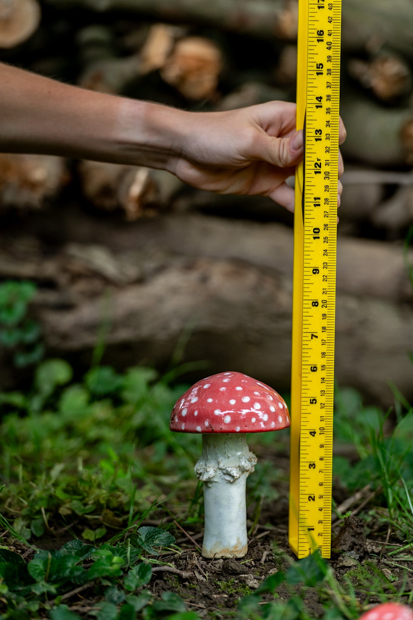 Red Ceramic Mushroom