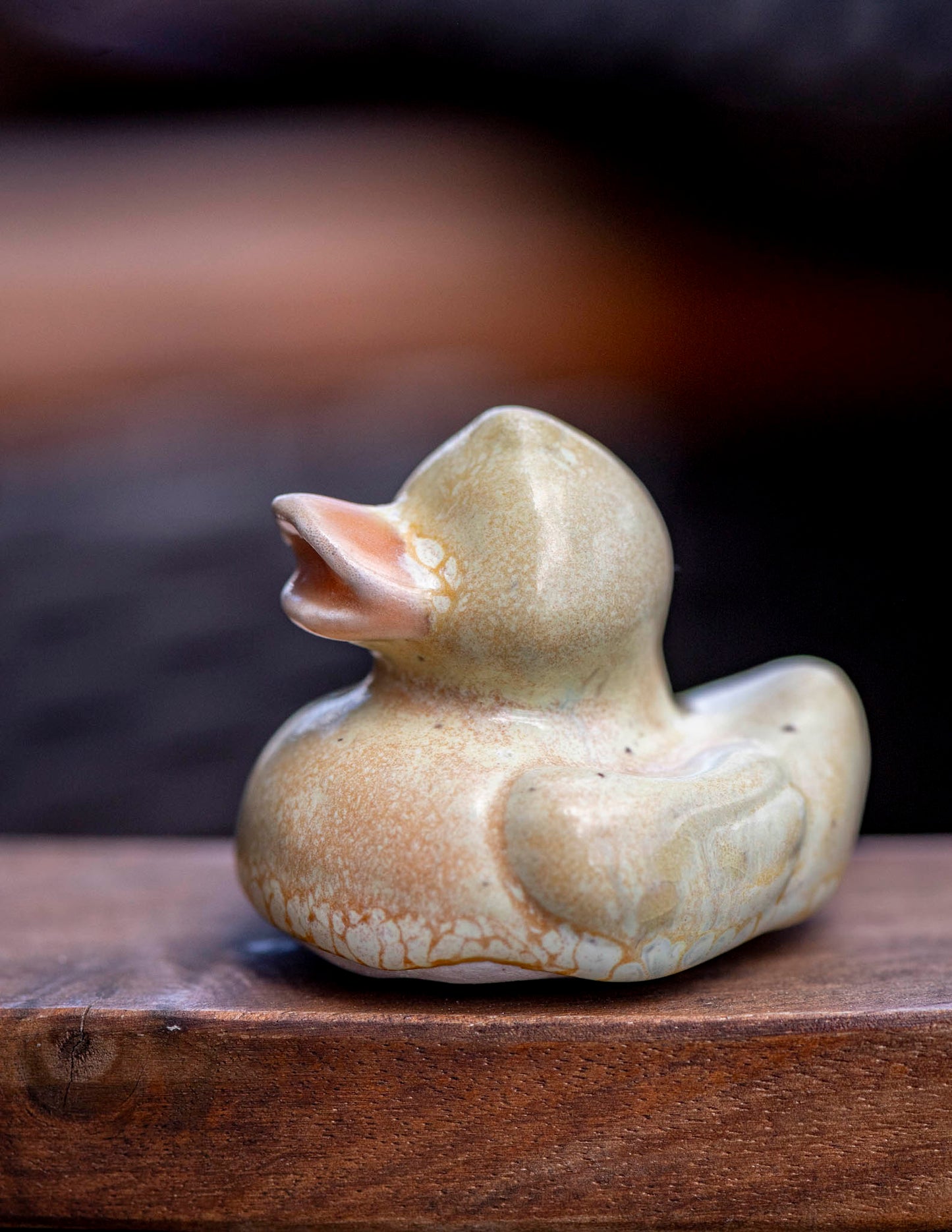 Yellow Duck (Harry)