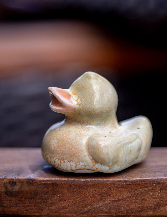 Yellow Duck