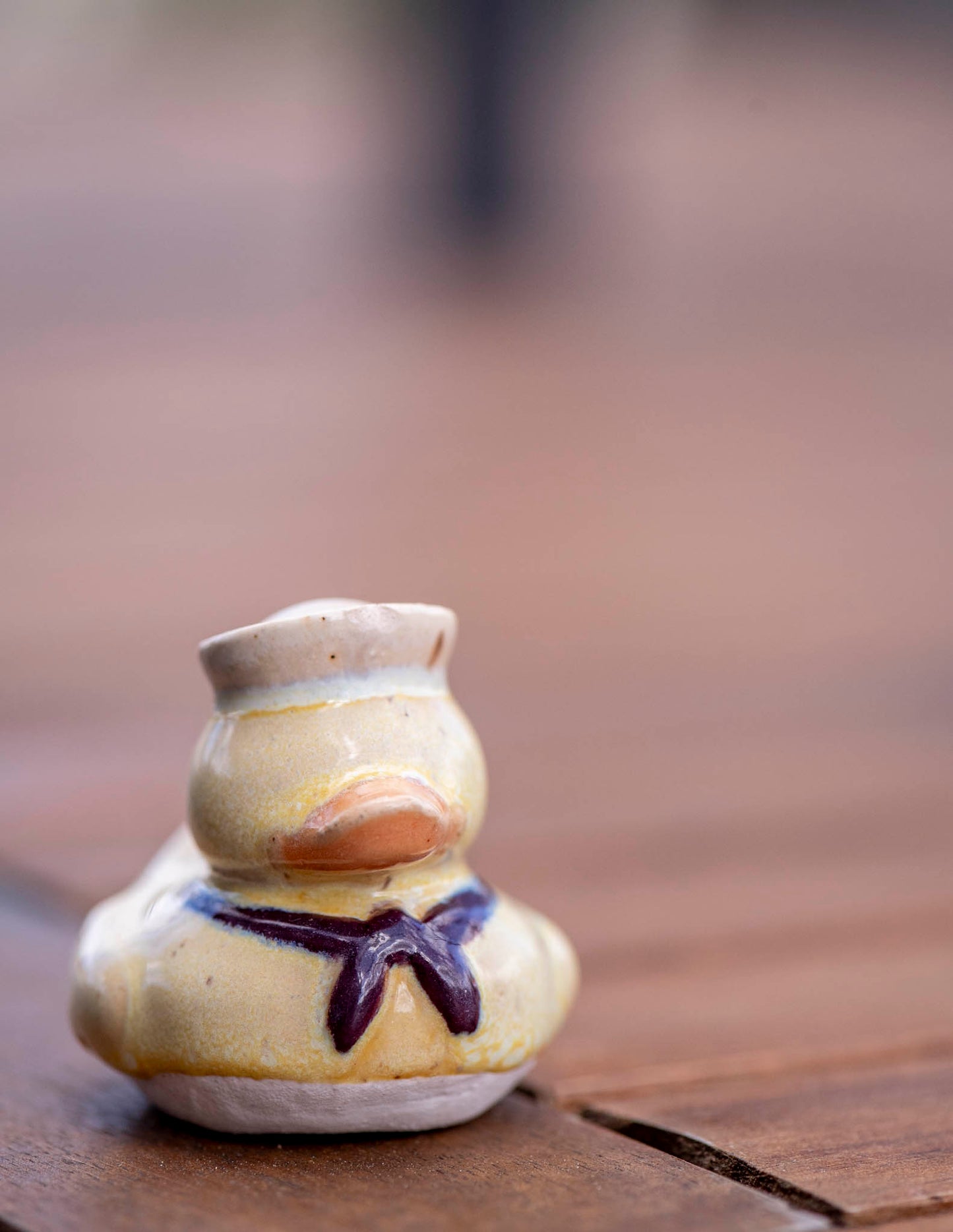Sailor Duck