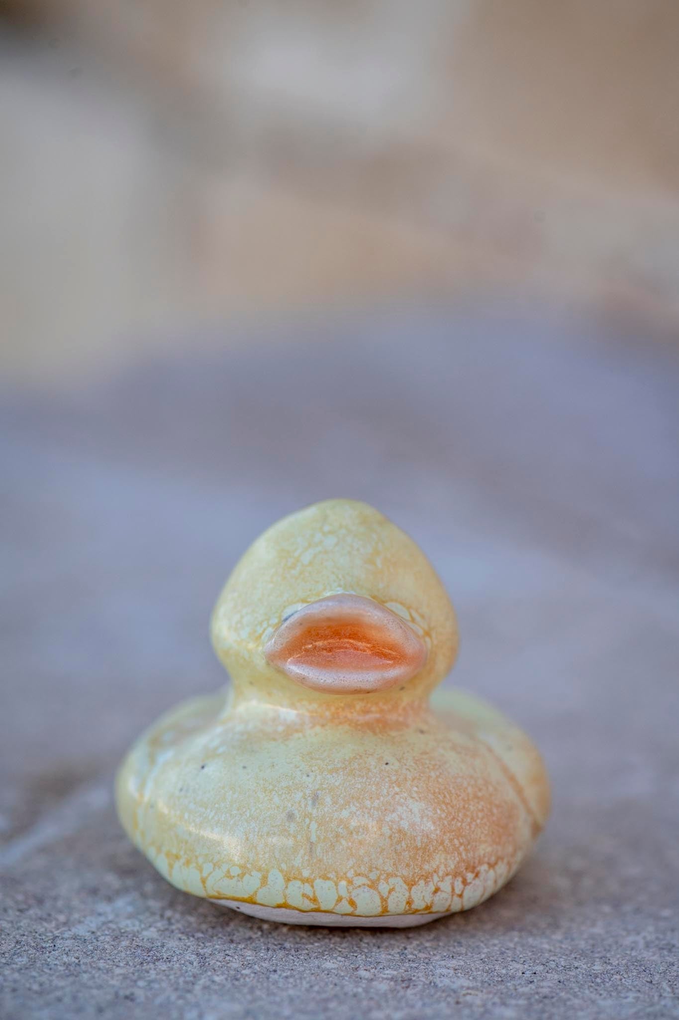 Yellow Duck (Harry)