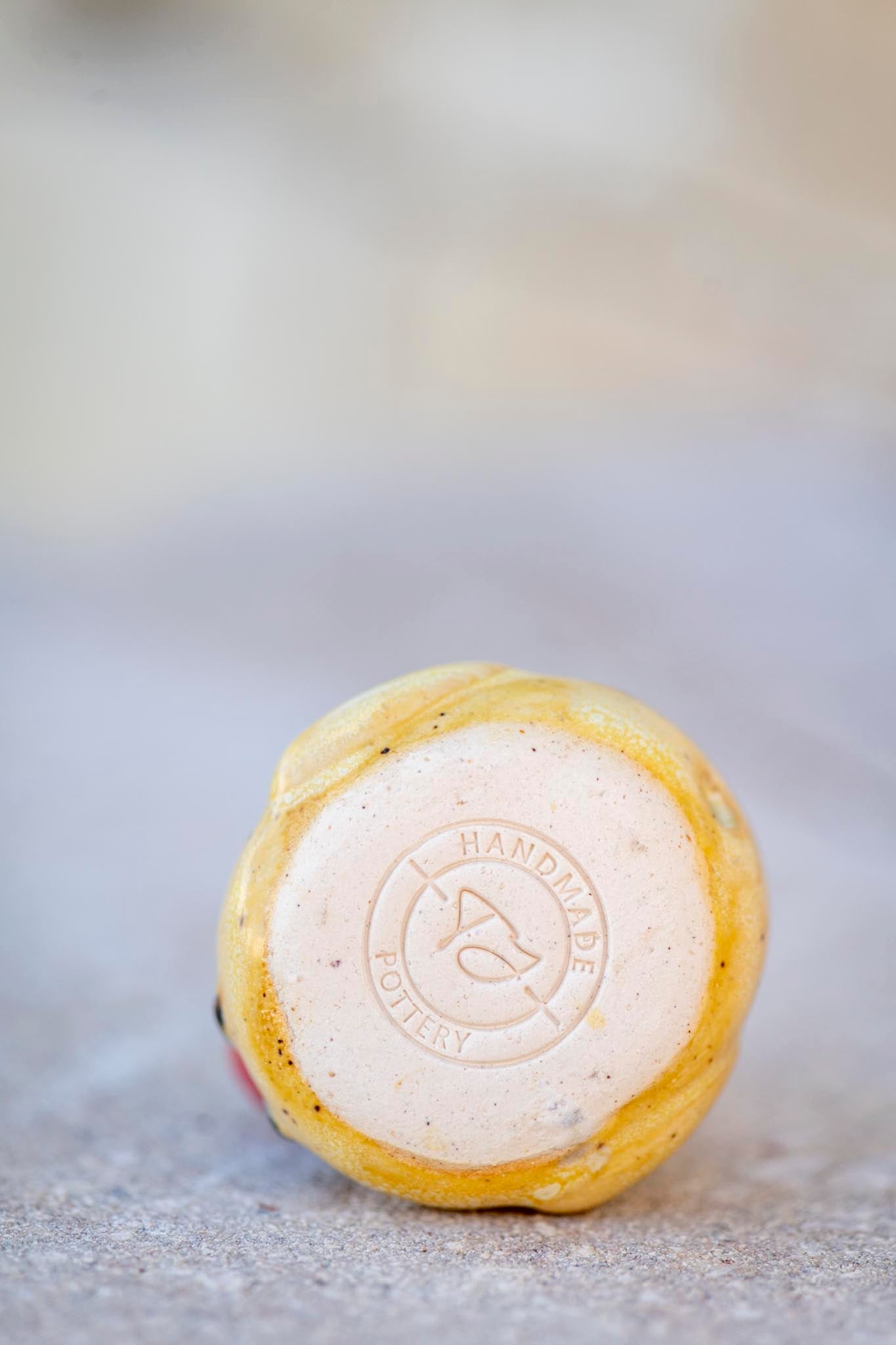 Yellow and Blue Duck