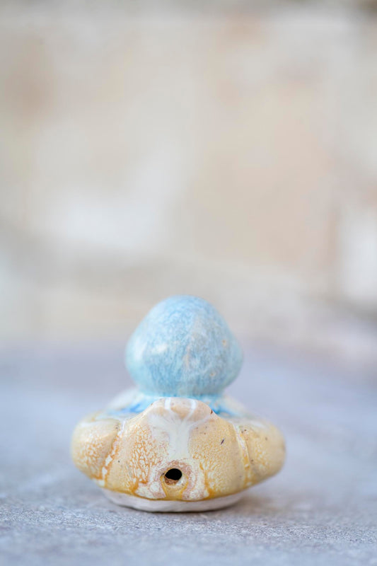 Yellow and Blue Duck