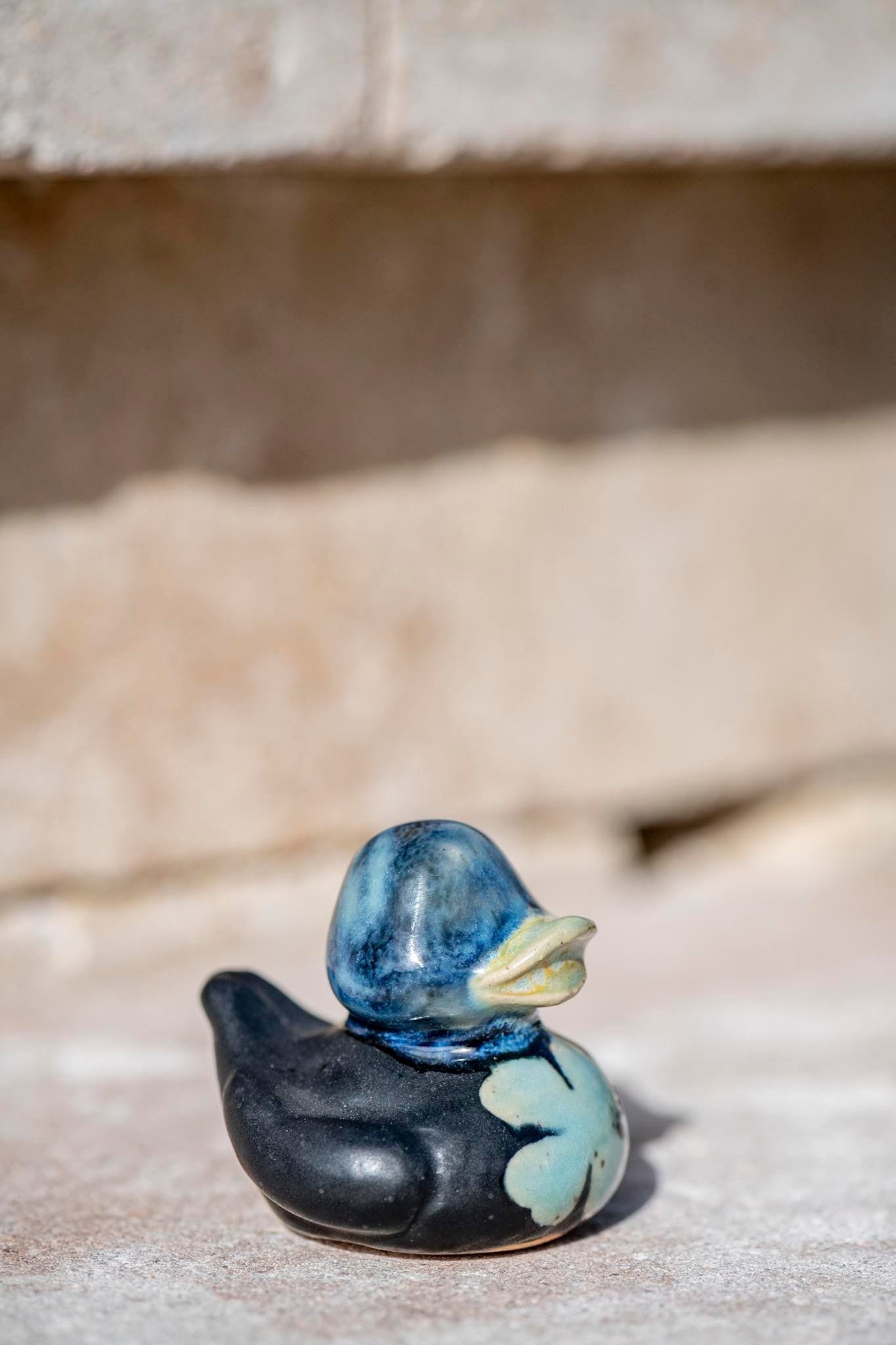 Shamrock Duck