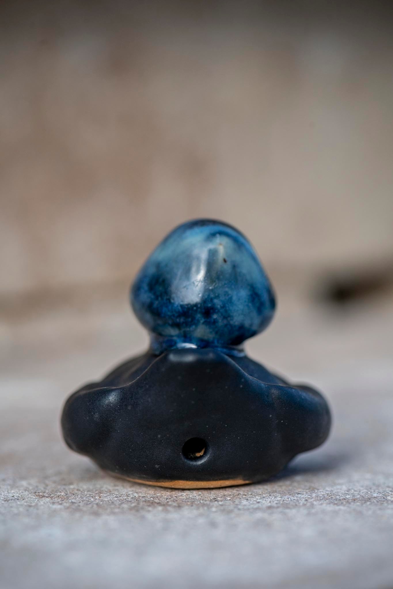 Shamrock Duck