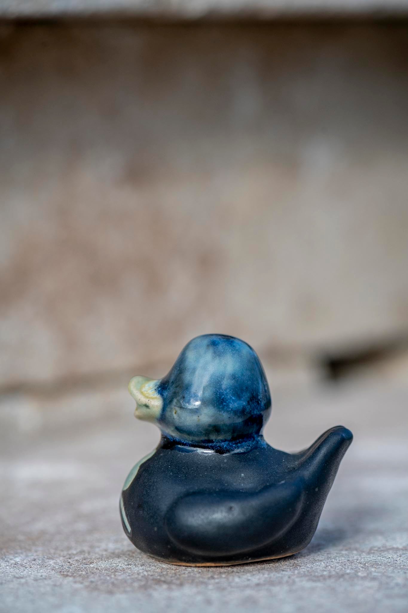 Shamrock Duck