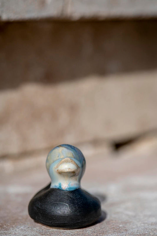 Black and Blue Duck (Brian)