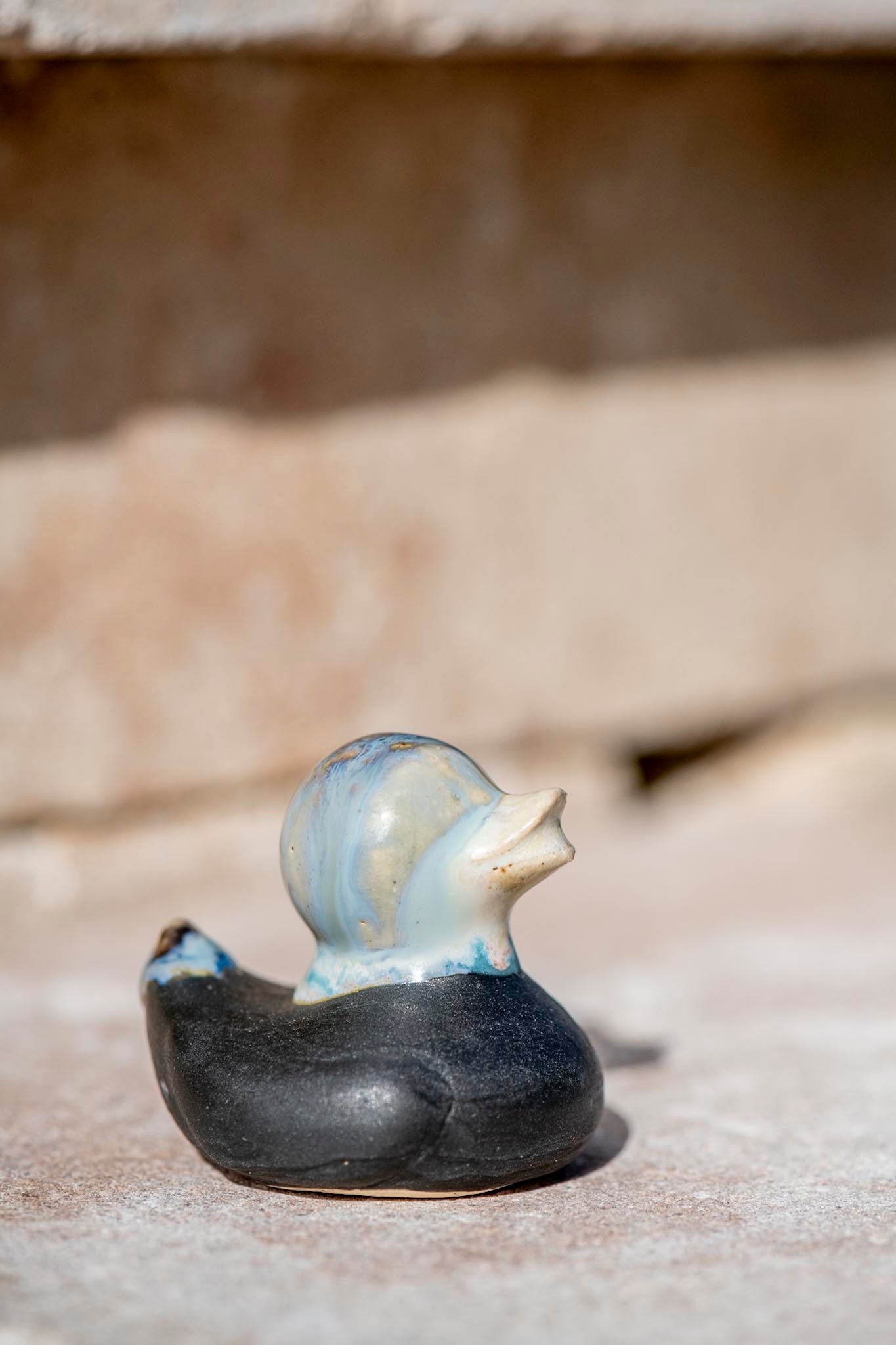 Black and Blue Duck