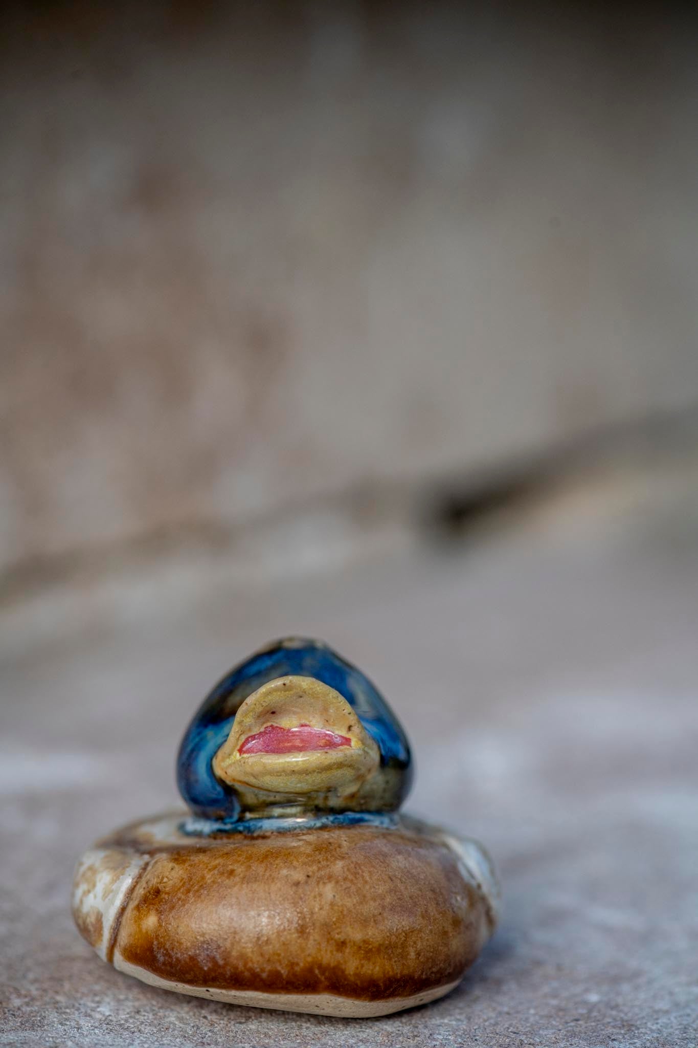 Brown Duck with Blue head (Mallard)