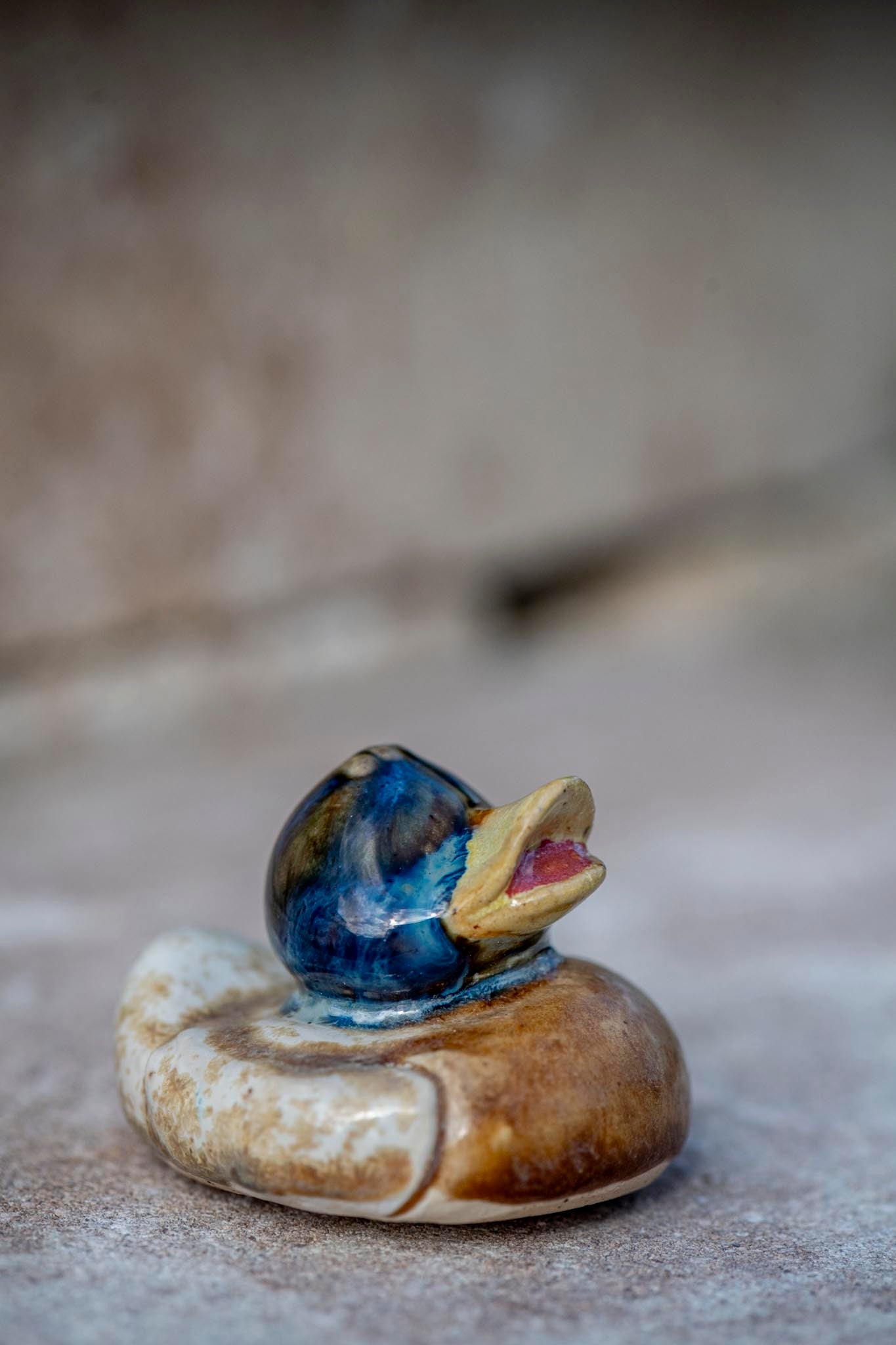 Brown Duck with Blue head (Mallard)