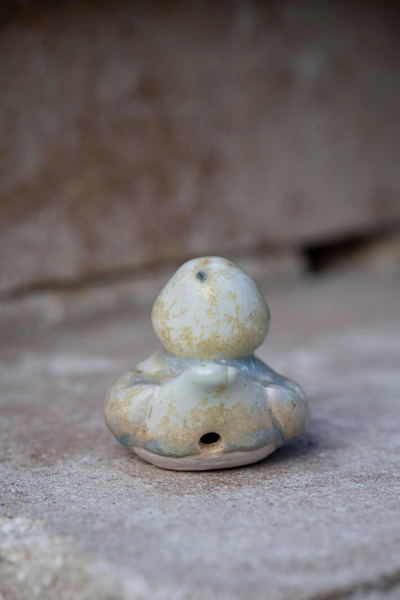 Yellow and Blue Duck (Emily)