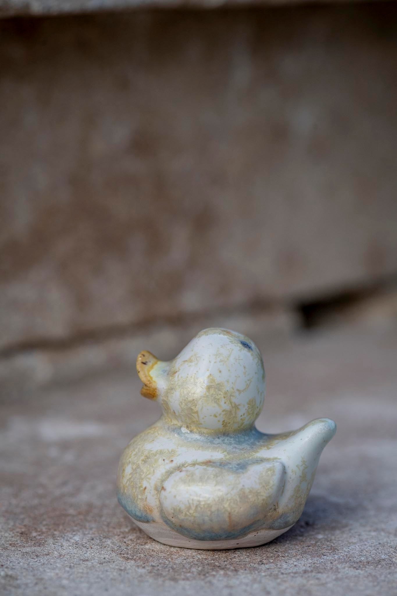 Yellow and Blue Duck (Emily)