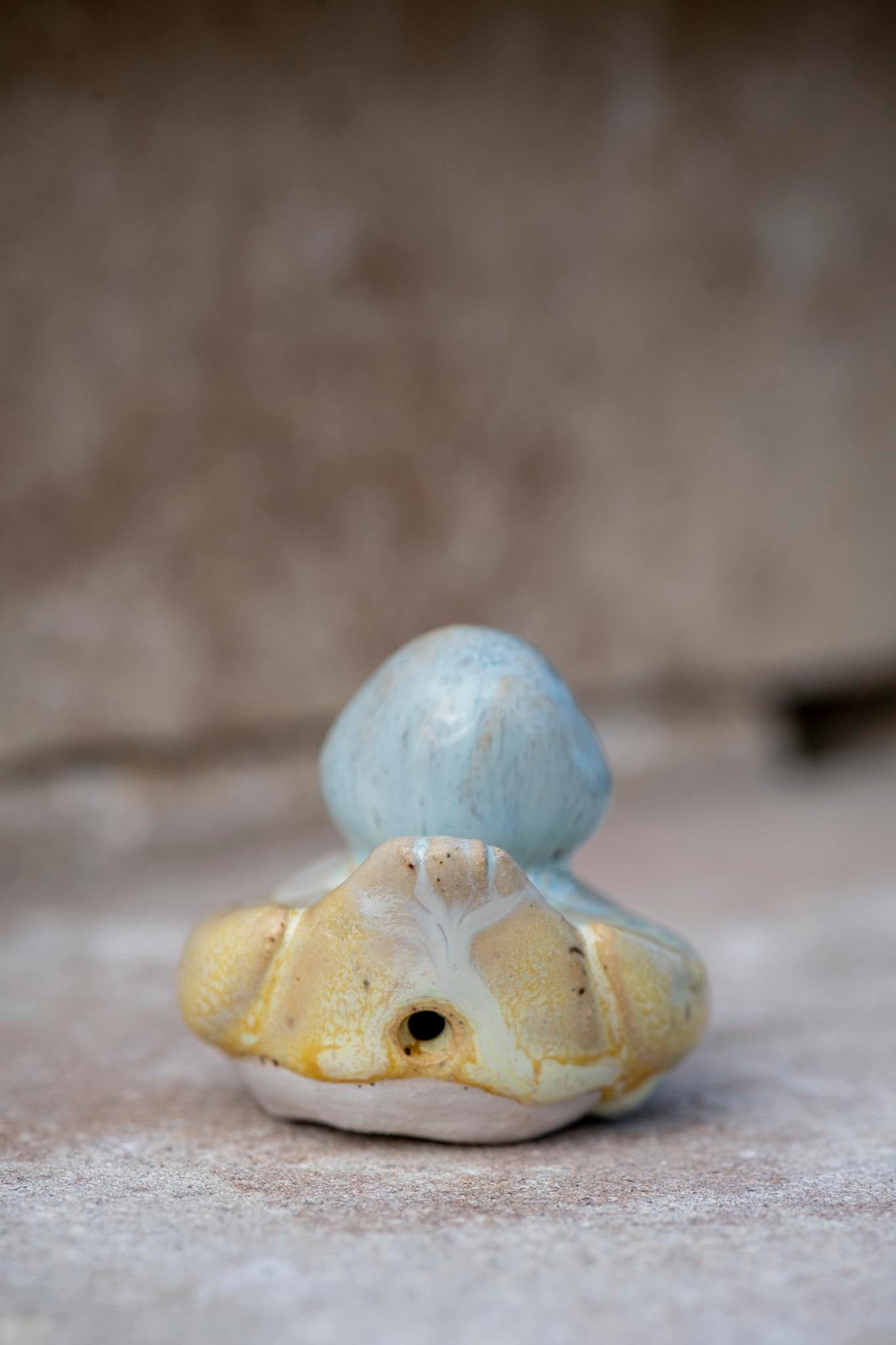 Yellow and Blue Duck (Emily)