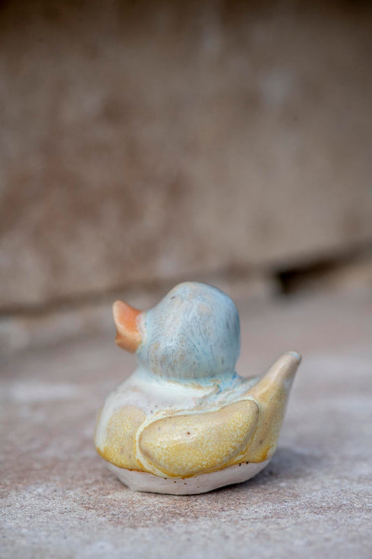 Yellow and Blue Duck